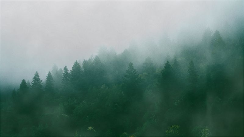 CSS Fog Animation (no JS)