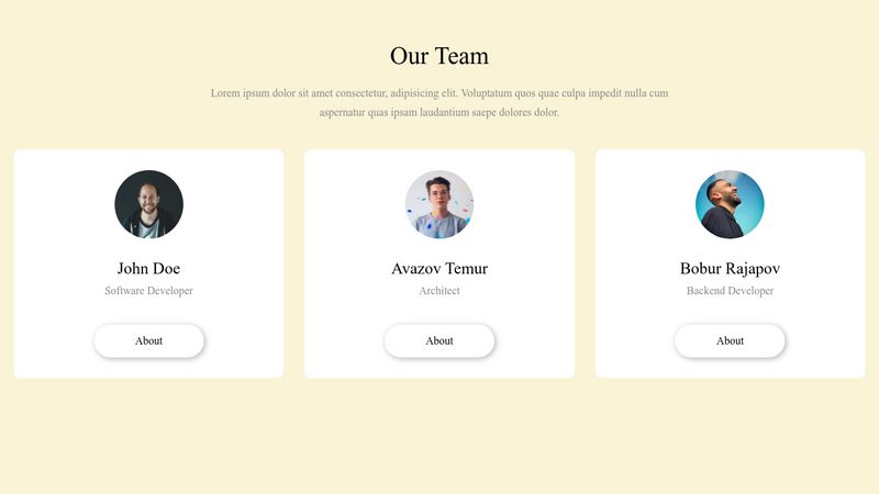 Responsive Our Team Section