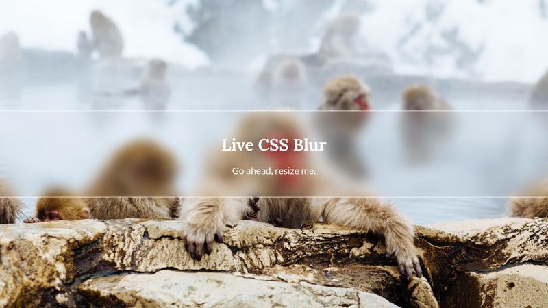 Live CSS Blur