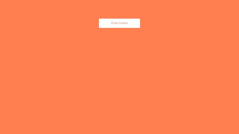CSS Input box animation