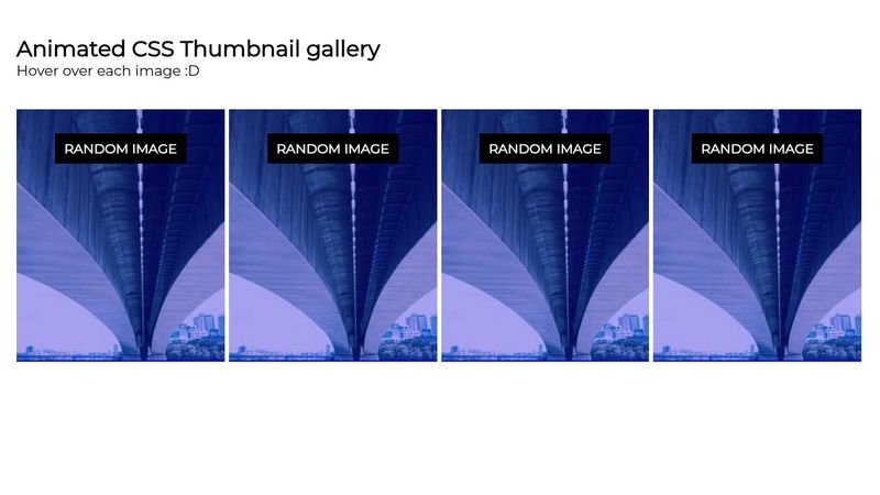 Animated CSS thumbnail gallery