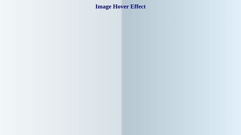 Simple Image Hover Effect