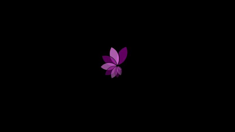 Flower - Pure CSS