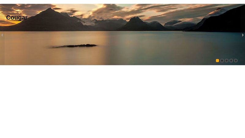 Pure CSS Slider with Autoplay