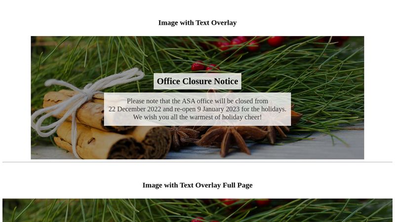 image with text overlay