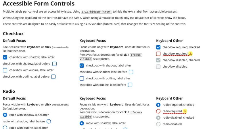 Accessible Form Controls