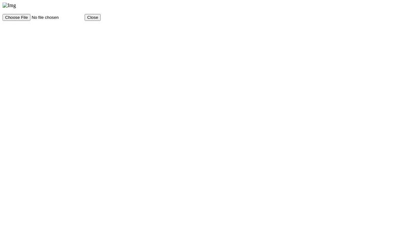 Image upload show preview and remove