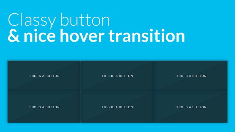 A classy button & his nice hover transition