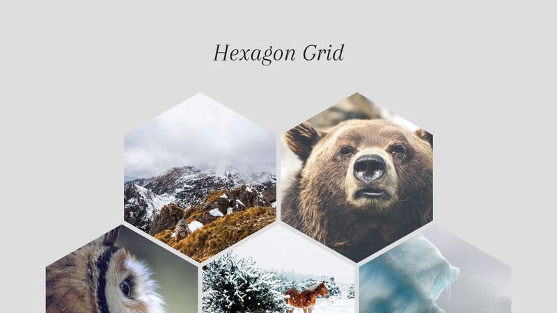 Hexagon Grid