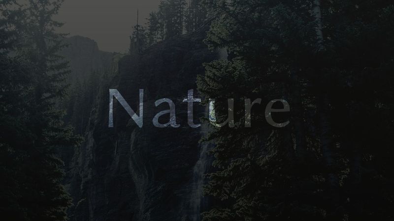Nature | SVG + CSS