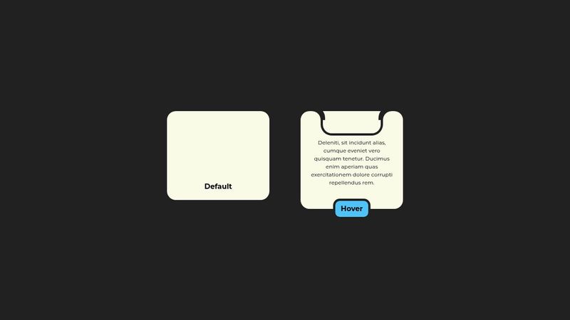 [Layout] Animated Card UI Design with Hover Effect | Html CSS Curve Outside