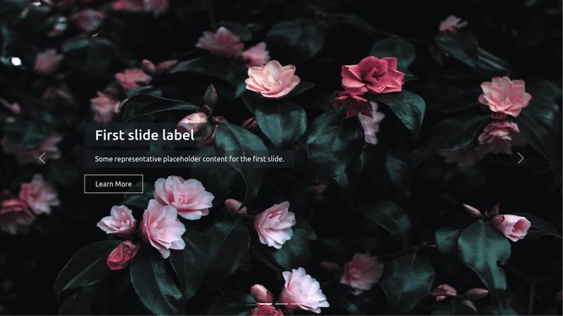 Bootstrap Carousel Full Width With Captions