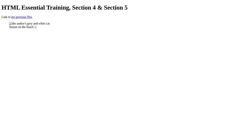 HTML Essential Training, Section 4 & Section 5