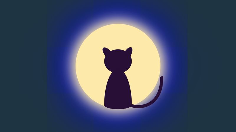 Moonlight Cat