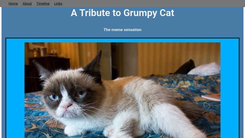 Grumpy Cat Tribute 