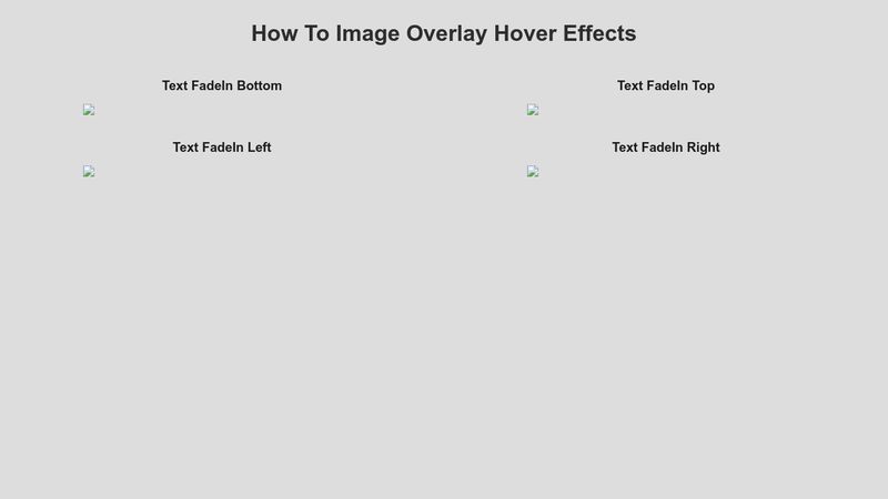 image-text-overlay-hover-effects-with-html-and-css