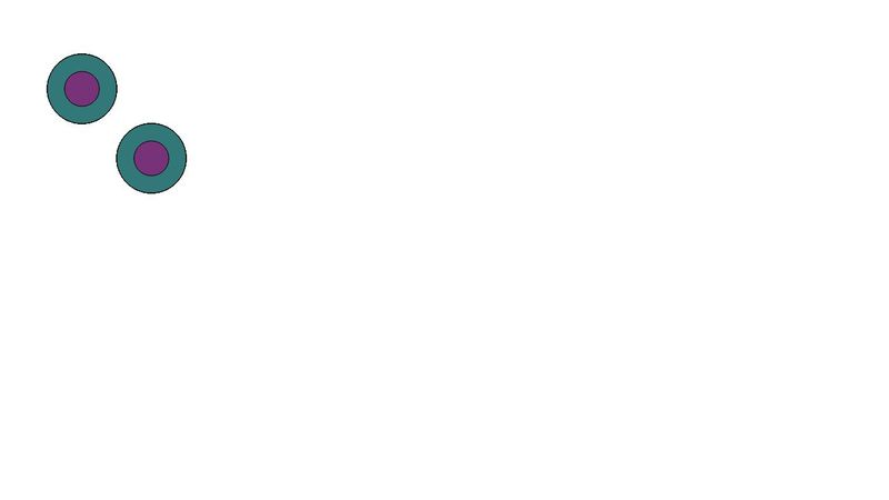 p5.js Concentric Circles