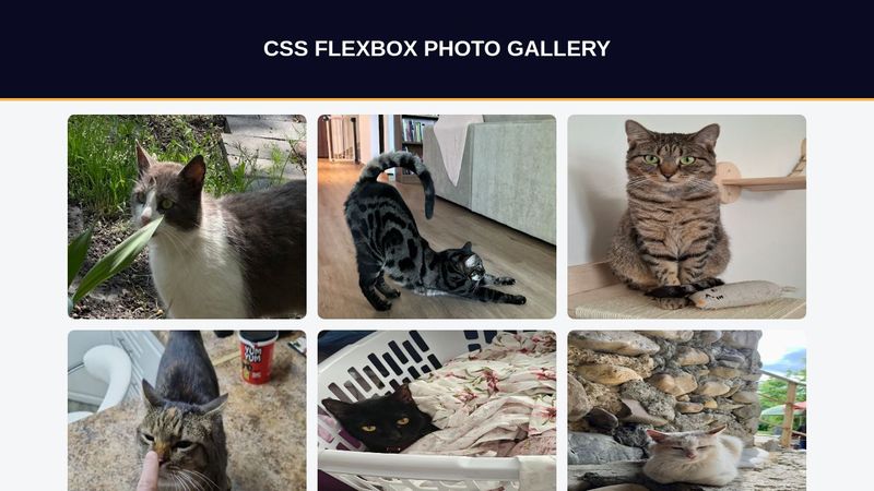 CSS Flexbox Practice