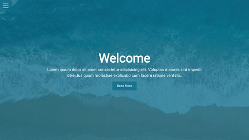 Pure CSS Hamburger Menu & Overlay