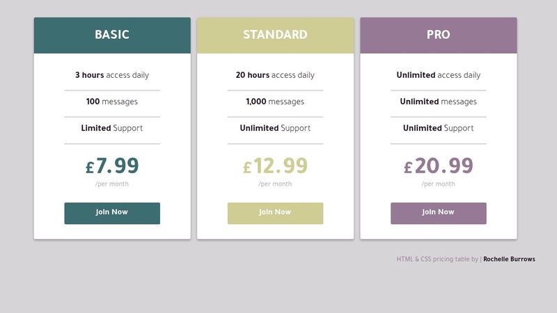 HTML & CSS Pricing Table