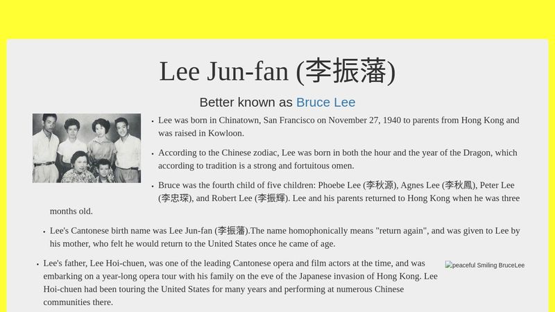 Bruce Lee Tribute Page