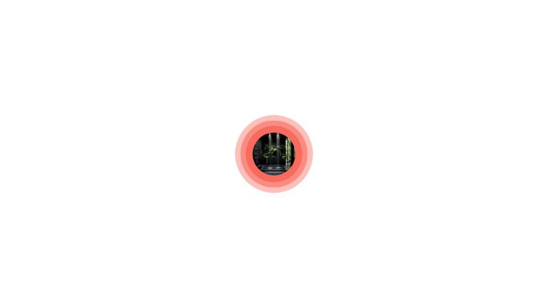 css-circle-animation