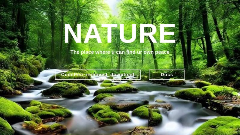 CodePen HTML