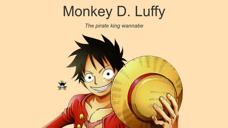 Monkey D. Luffy/Misc., One Piece Wiki