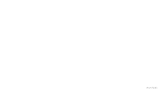 Sketch widget