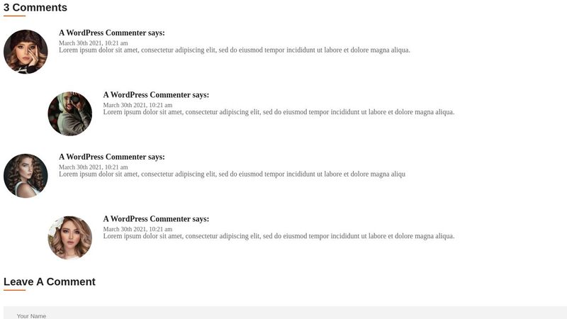 show comment and leave comment section html css