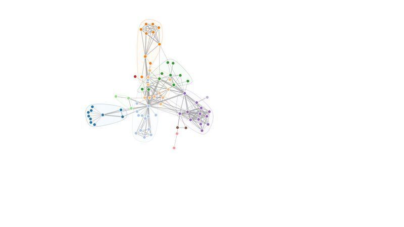 Network graph D3 JS - clustered and grouping nodes