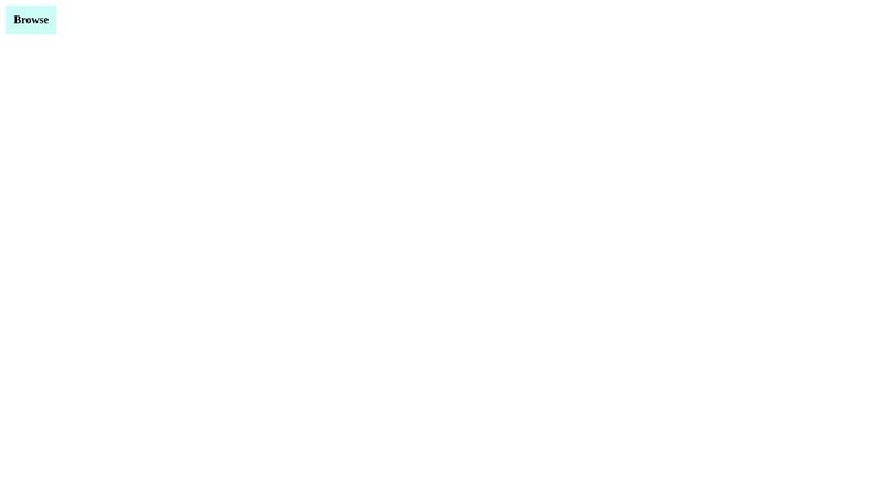 Style Input Type = File