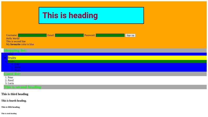 HTML & CSS Basics