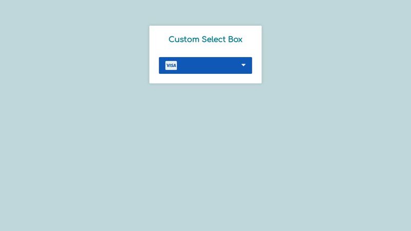 HTML CSS Custom Select Box