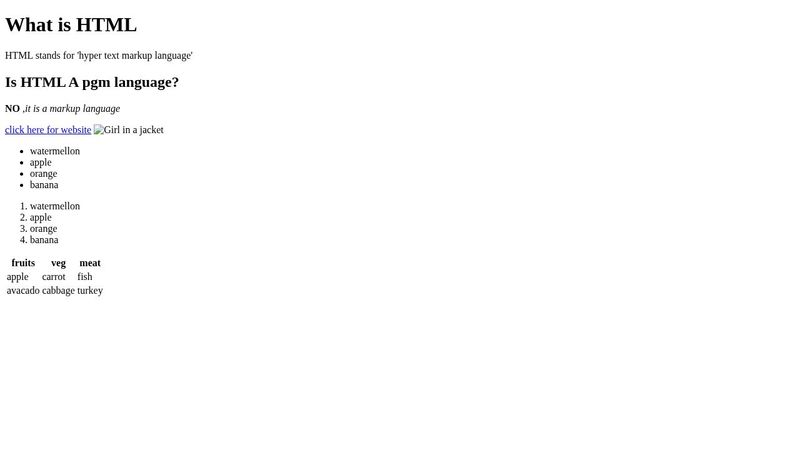 learning html basics