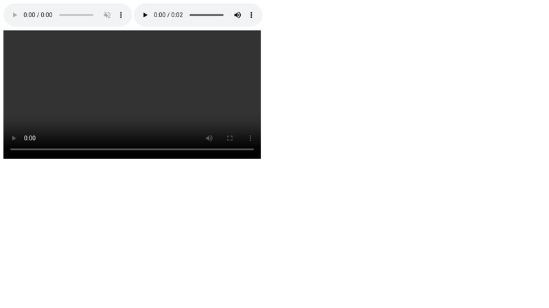 CodePen Home HTML5 & CSS Fundamentals - 5.3.5 Activities - Multimedia