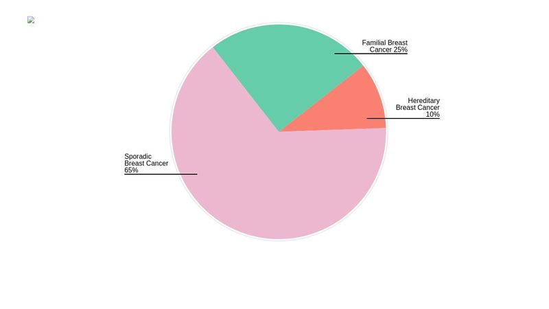 Pie Chart with CSS