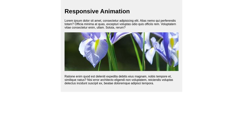 Practical Web Animation: Responsive Animation