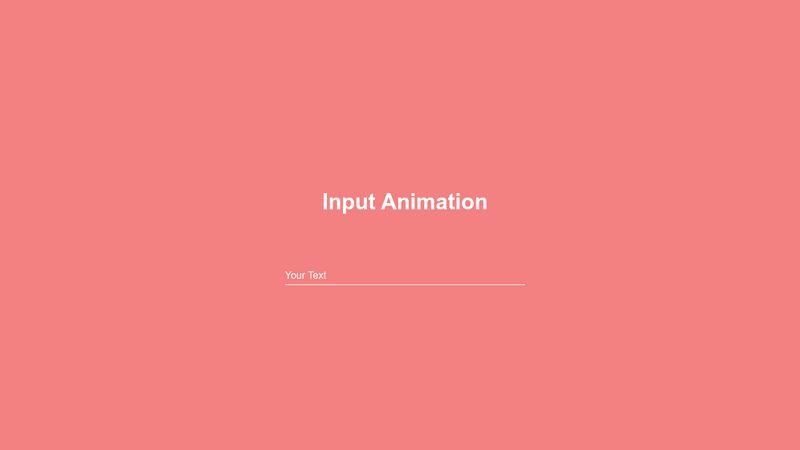 Input Animation CSS