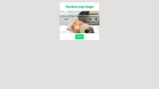 React UI - 07 - Random Image Generator Giphy API - Script Codes