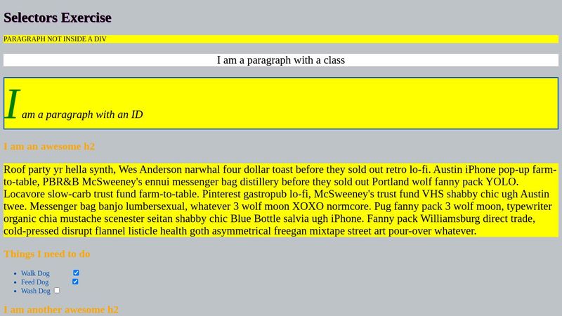 CSS Selectors Practice Exercise