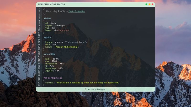 Code Editor For CV