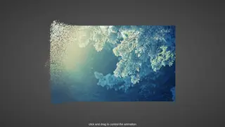 THREE Image Transition THREE Image Transition
